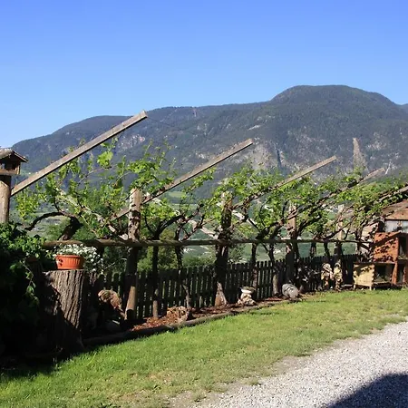 Ausservogelweiderhof